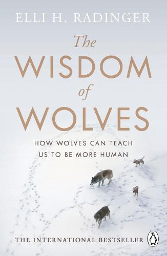 The Wisdom of Wolves: How Wolves Can Teach Us To Be More Human (Paperback)