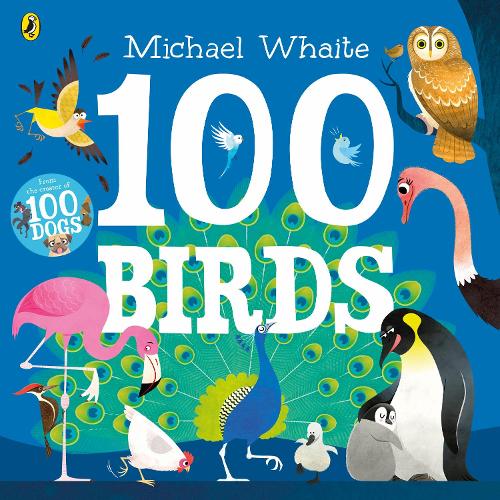 100 Birds (Paperback)
