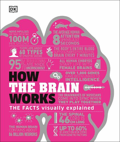 How the Brain Works: The Facts Visually Explained - How Things Work (Hardback)