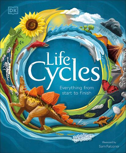 Life Cycles: Everything from Start to Finish (Hardback)