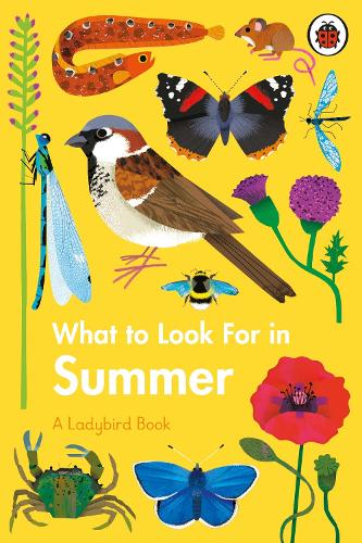 What to Look For in Summer - A Ladybird Book (Hardback)
