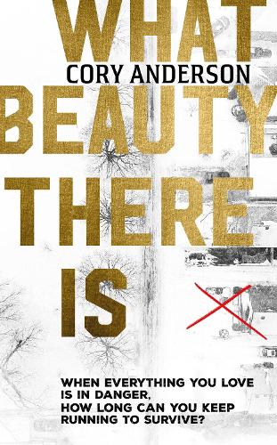 What Beauty There Is (Hardback)