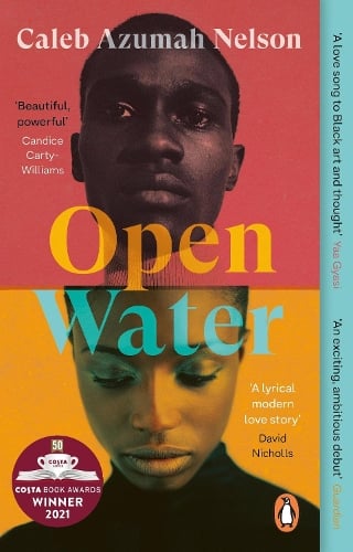 Cover of the book Open Water