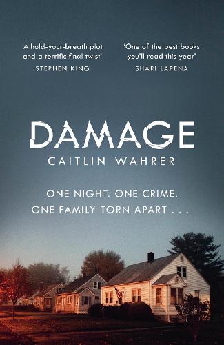 Damage (Hardback)