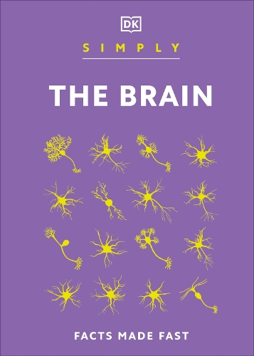 DK Simply The Brain