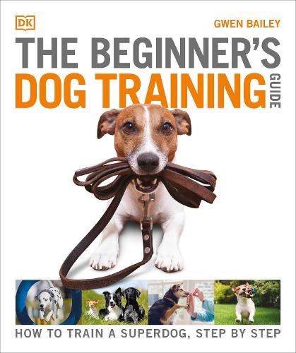 Training your best sale beagle kristine kraeuter