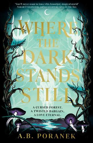 Where the Dark Stands Still by A.B. Poranek | Waterstones