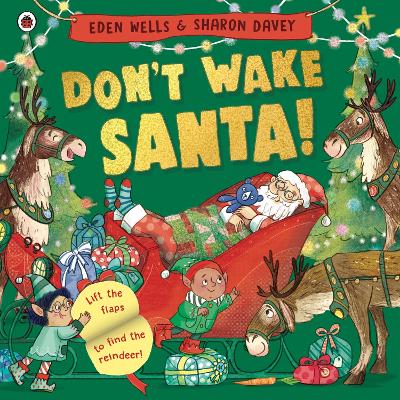 Don't Wake Santa: A lift-the-flap Christmas book (Paperback)