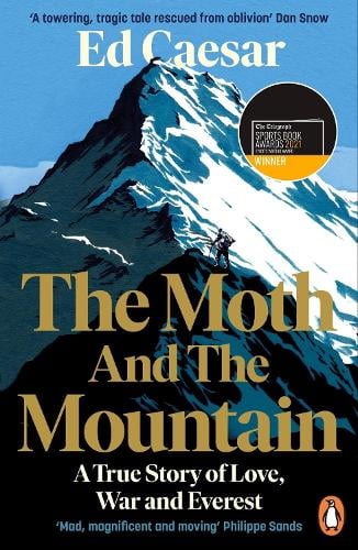 The Moth and the Mountain (Paperback)