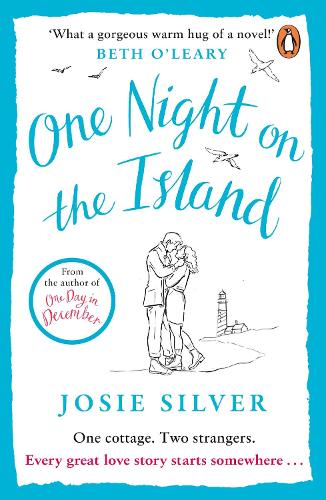 One Night on the Island (Paperback)