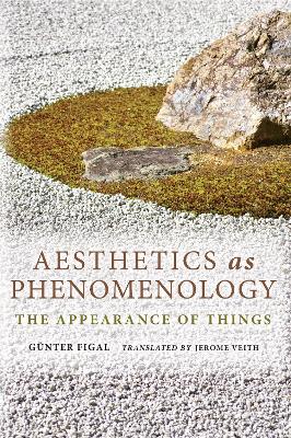 Aesthetics as Phenomenology: The Appearance of Things - Studies in Continental Thought (Hardback)