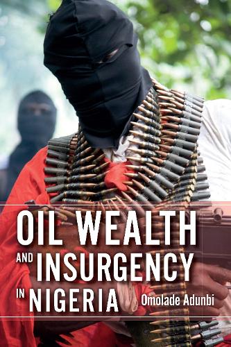 Oil Wealth and Insurgency in Nigeria (Hardback)
