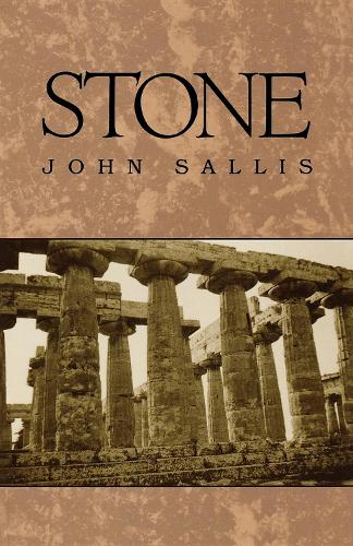 Stone - Studies in Continental Thought (Paperback)