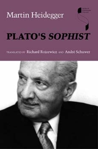 Plato's Sophist - Studies in Continental Thought (Paperback)