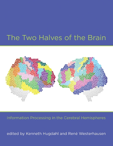 The Two Halves of the Brain: Information Processing in the Cerebral Hemispheres - The MIT Press (Hardback)