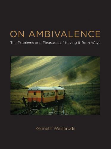 On Ambivalence: The Problems and Pleasures of Having it Both Ways - The MIT Press (Hardback)
