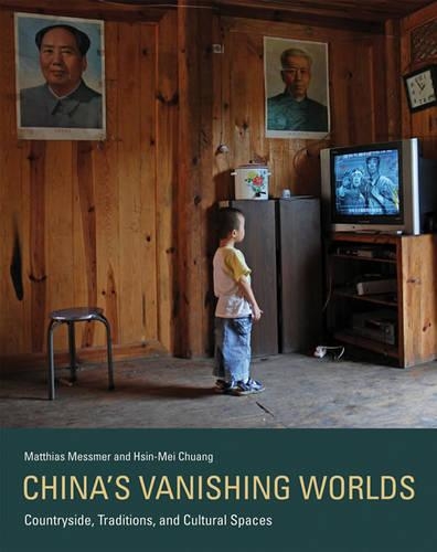 China's Vanishing Worlds: Countryside, Traditions, and Cultural Spaces - China's Vanishing Worlds (Hardback)
