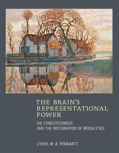 The Brain's Representational Power: On Consciousness and the Integration of Modalities - The MIT Press (Hardback)