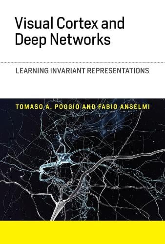 Visual Cortex and Deep Networks: Learning Invariant Representations - Computational Neuroscience Series (Hardback)