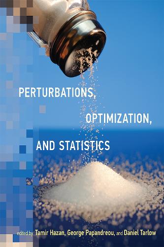 Perturbations, Optimization, and Statistics - Neural Information Processing series (Hardback)