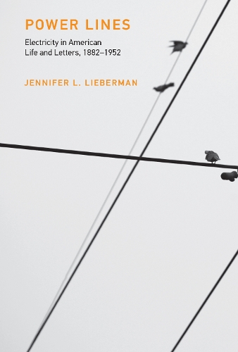 Power Lines: Electricity in American Life and Letters, 1882-1952 - Inside Technology (Hardback)