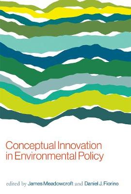 Conceptual Innovation in Environmental Policy - Conceptual Innovation in Environmental Policy (Hardback)