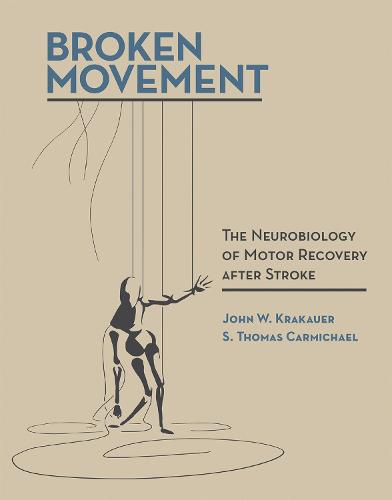 Broken Movement: The Neurobiology of Motor Recovery after Stroke - The MIT Press (Hardback)