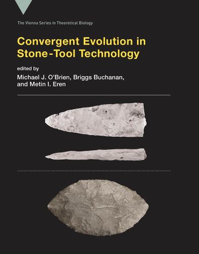 Convergent Evolution in Stone-Tool Technology - Convergent Evolution in Stone-Tool Technology (Hardback)