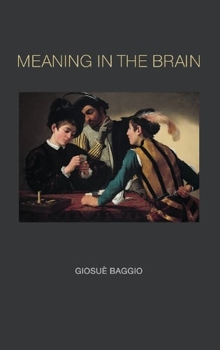 Meaning in the Brain - Meaning in the Brain (Hardback)