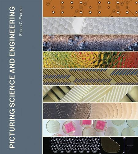 Picturing Science and Engineering - The MIT Press (Hardback)