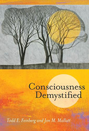 Consciousness Demystified - The MIT Press (Hardback)