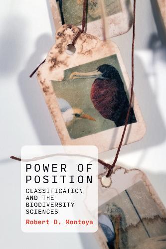 Power of Position: Classification and the Biodiversity Sciences - History and Foundations of Information Science (Paperback)
