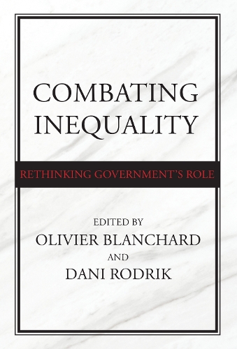 Combating Inequality: Rethinking Government's Role (Hardback)