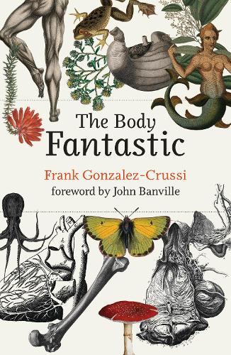 The Body Fantastic (Hardback)