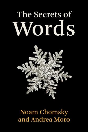 The Secrets of Words (Hardback)