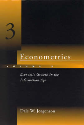 Econometrics: Economic Growth in the Informtion Age (Hardback)