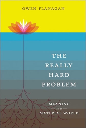 The Really Hard Problem: Meaning in a Material World - A Bradford Book (Paperback)