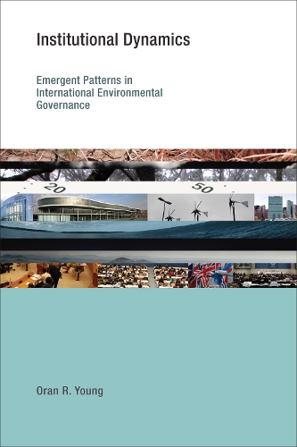Institutional Dynamics: Emergent Patterns in International Environmental Governance - Earth System Governance (Paperback)