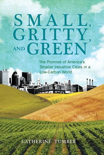 Small, Gritty, and Green: The Promise of America's Smaller Industrial Cities in a Low-Carbon World - Urban and Industrial Environments (Paperback)