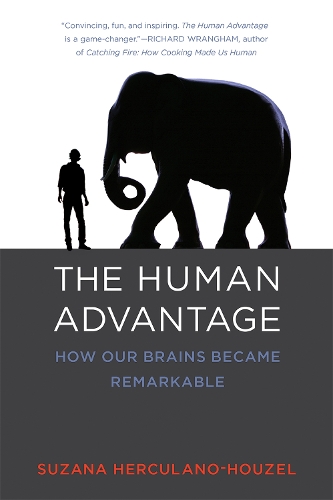 The Human Advantage: How Our Brains Became Remarkable - The MIT Press (Paperback)