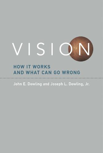 Vision: How It Works and What Can Go Wrong - The MIT Press (Paperback)