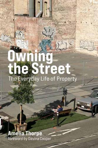 Owning the Street: The Everyday Life of Property (Paperback)