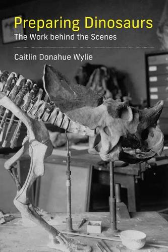Preparing Dinosaurs: The Work behind the Scenes (Paperback)