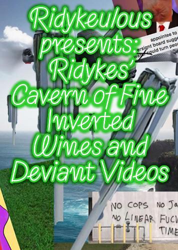 Ridykeulous Presents: Ridykes Cavern of Fine Inverted Wines and Deviant Videos (Paperback)