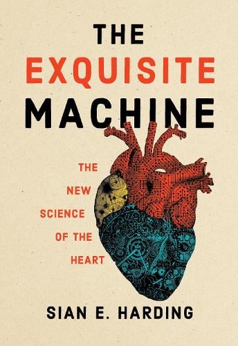 The Exquisite Machine: The New Science of the Heart (Paperback)