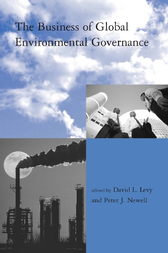 The Business of Global Environmental Governance - Global Environmental Accord: Strategies for Sustainability and Institutional Innovation (Paperback)
