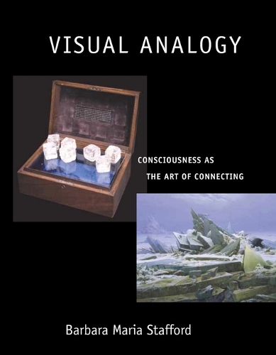 Visual Analogy: Consciousness as the Art of Connecting - The MIT Press (Paperback)