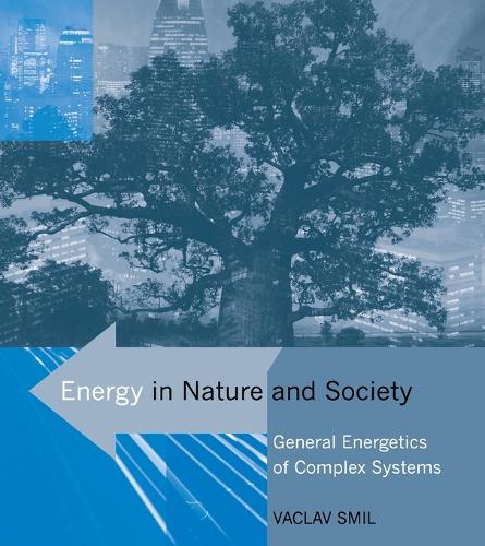Energy in Nature and Society: General Energetics of Complex Systems - The MIT Press (Paperback)