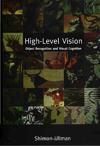 High-Level Vision: Object Recognition and Visual Cognition - A Bradford Book (Paperback)