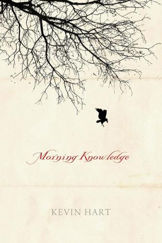 Morning Knowledge (Paperback)